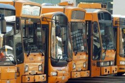 Firmato decreto x rinnovo autobus 2020